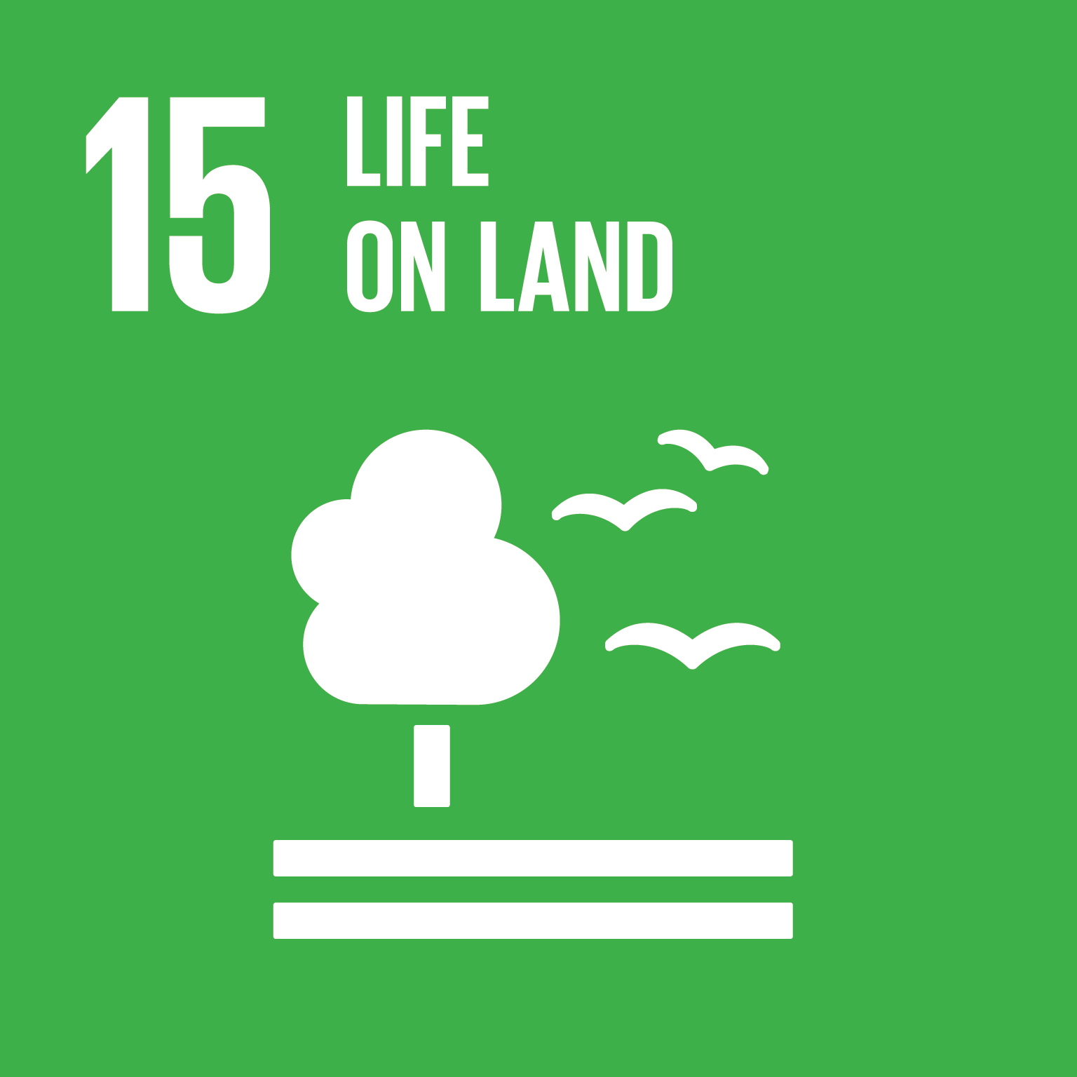 Sustainable Development Goals 15 | ALFA and Friends