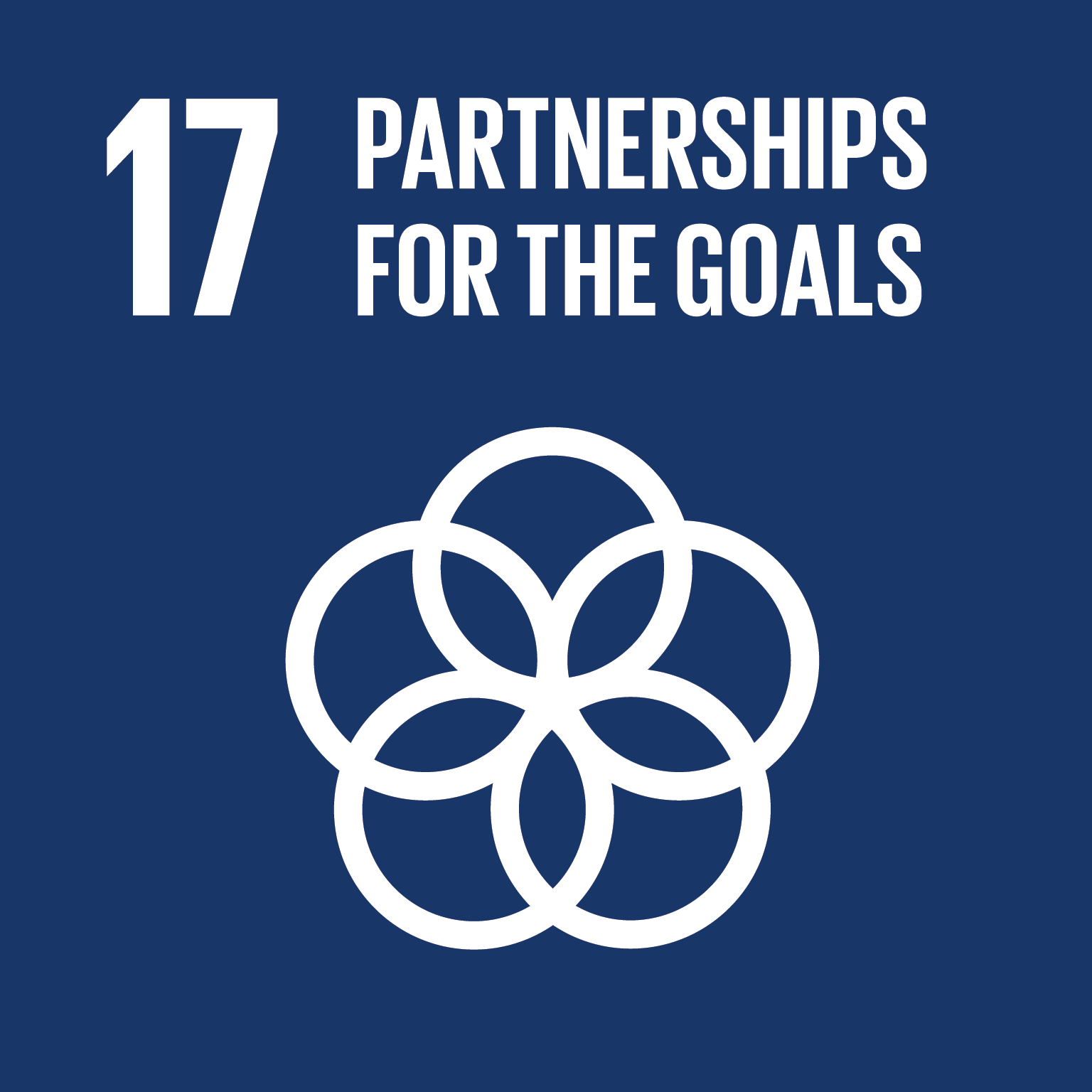 Sustainable Development Goals 17 | ALFA and Friends